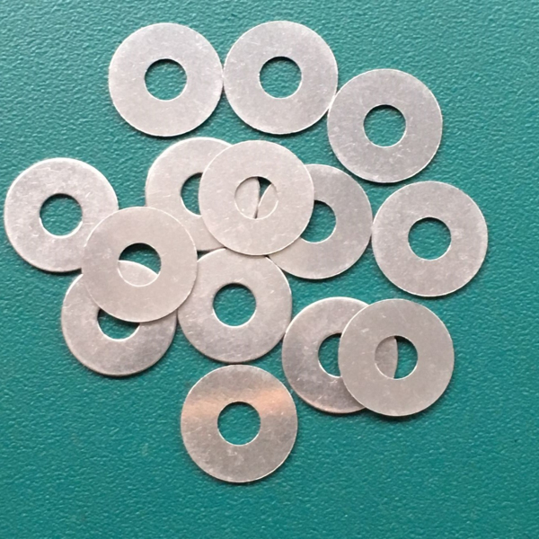Stainless steel gasket